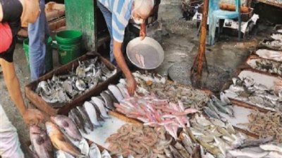 أسعار الأسماك اليوم 29/ 10/ 2018.. والبلطي بـ27 جنيهًا