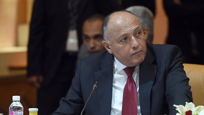 وزير الخارجية: هناك تقدير ألماني وأوروبي لحجم التحديات التي نواجهها