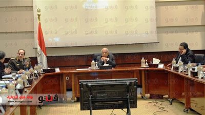 بالصور.. «الوزراء» يناقش وضع مصر بعد الاستفتاء