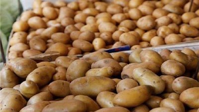 النشرة الاقتصادية وأبرزها.. «حماية المنافسة»: لم نتلق شكاوى عن أزمة البطاطس