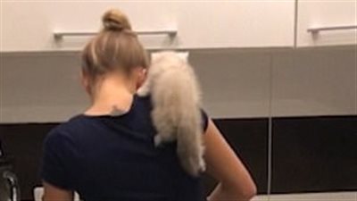 قطة تتسلق ظهر مالكتها لمشاهدة ما تطهوه (فيديو)