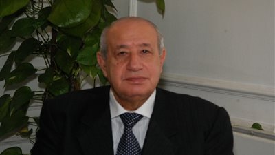 وزير التموين السابق: سوء تخزين القمح وراء انتشار الأمراض