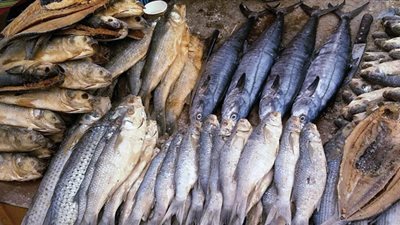 أسعار الأسماك اليوم 30/ 10/ 2018.. والبلطي بـ28 جنيهًا