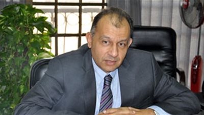 «مواد البناء» يطالب باستخدام المنتج المحلي في «العاصمة الإدارية»