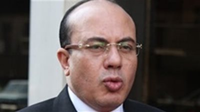 «شرف الدين»: الاستفتاء شهادة وفاة للإرهابية