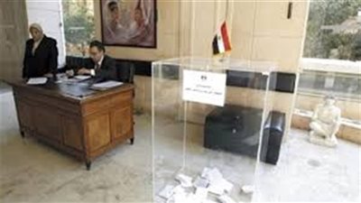 إعلان نتائج الاستفتاء رسميًا.. السبت