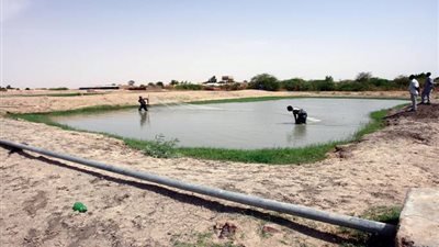 نفوق الأسماك بالبحيرة سبب جفاف الترع ونقص المياه