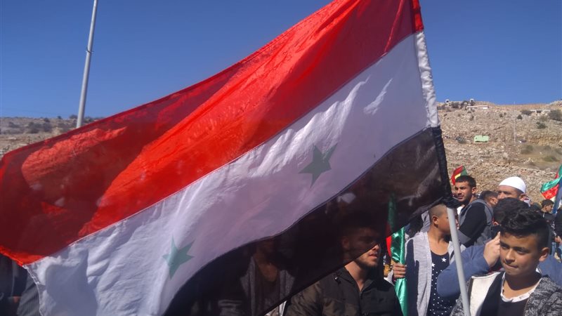 فيتو