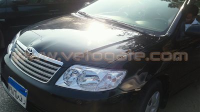 بالصور.. استقرار أسعار 