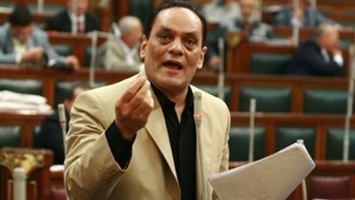 «الصايغ»: إقرار الدستور يعطي شرعية لثورة 30 يونيو