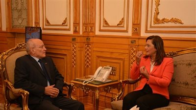 وزيرا التخطيط والإنتاج الحربي يلتقيان وفد شركة «إن آي كابيتال»