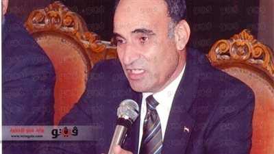 القلا: الشباب المصري شارك في الاستفتاء والإخوان يحاولون تشويه الدستور