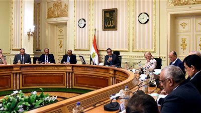 ٧ قرارات مهمة.. حصاد اجتماع المجلس الأعلى للتخطيط