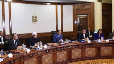 أين الحقيقة؟.. الحكومة تفند ٨ شائعات تحرض على الدولة.. زيادة أسعار الكهرباء.. إلغاء نظام البوكليت.. طرح بنزين ٨٧ الجديد.. تسرب مواد سامة من مصنع أسمنت بني سويف