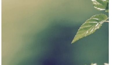 عدل صورك السيلفي بالآي فون مع 