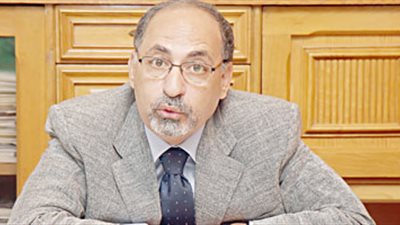 أستاذ علوم سياسية: الرأي العام المصري مشتت