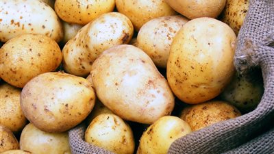 تراجع أسعار البطاطس.. والكيلو يسجل 6.50 جنيهات