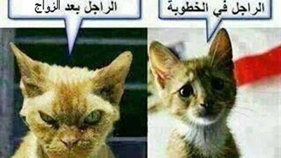 ساخرون.. الراجل في الخطوبة وبعد الزواج