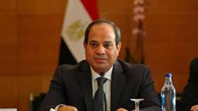 السيسي: نقدم الدعم لزامبيا عبر الوكالة المصرية للشراكة