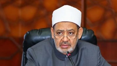 الطيب لوفد البرلمان الأوروبي: أولوية تحقيق السلام تراجعت أمام المصالح