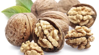 عين الجمل تحمي  من السرطان والسمنة وقرحة المعدة