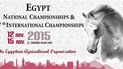 افتتاح البطـولة الدولّية فئة B Show للخيول العربية 12نوفمبر