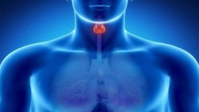 تأثير اضطراب الغدد الصماء في الجسم بـ«مؤتمر فرنسي»