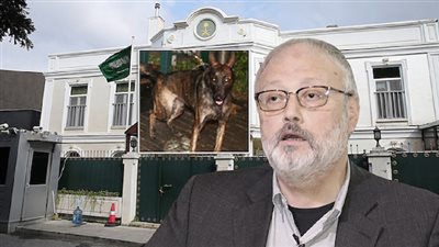 «الكلب ميلو».. ورقة تركيا الأخيرة لكشف مصير جثة خاشقجي