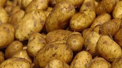 «حماية المنافسة» يتهم «التصديري للحاصلات الزراعية» باحتكار البطاطس