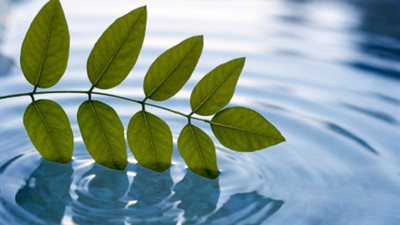 الري: ضرورة الحفاظ على المياه لاستخدامها في المشروعات القومية