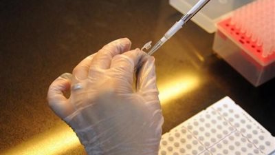 شركات التكنولوجيا الحيوية تسرع الخطى لتجنيد البكتريا ضد السرطان