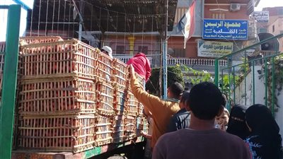 بيع 2 طن طماطم بسعر 6 جنيهات للكيلو بالدقهلية