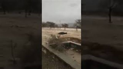 لحظة جرف السيول لسيارة متوقفة بالمدينة المنورة