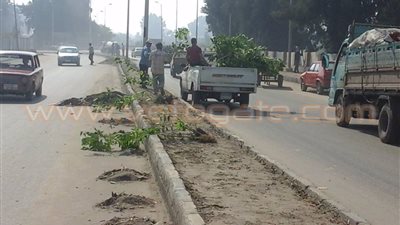 بالصور.. «ثان الإسماعيلية» يشن حملة نظافة موسعة على شوارع المنطقة