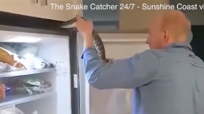 عائلة تعثر على ثعبان في مكان غير متوقع بالمنزل (فيديو)