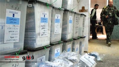 عبد الصادق: الإقبال على التصويت أظهر حقيقية ثورة 30 يونيو للعالم