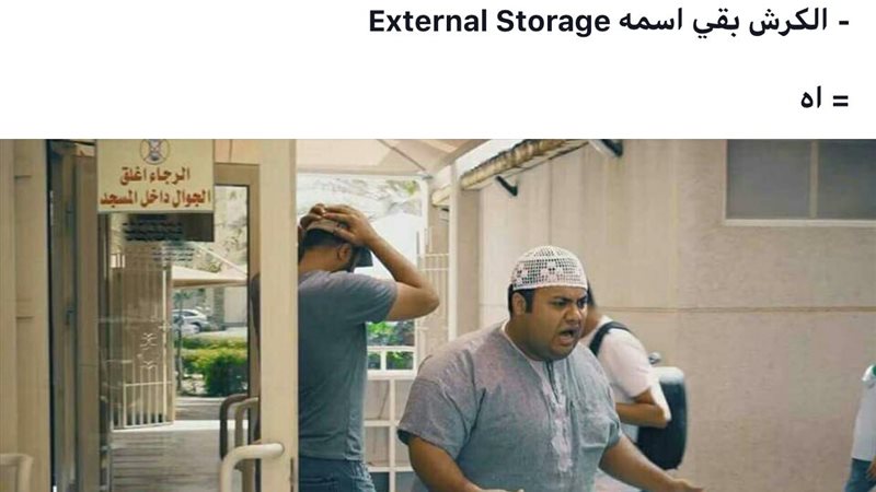 فيتو