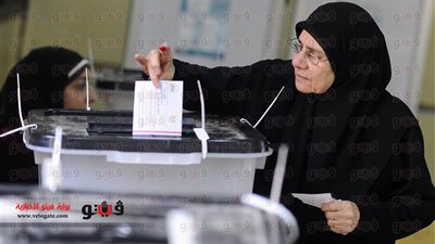 النتائج الرسمية لتصويت المصريين في الخارج على الاستفتاء