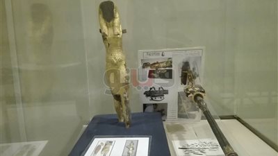 بالصور.. عرض 86 قطعة أثرية من كنوز توت عنخ آمون بمعرض المتحف المصري
