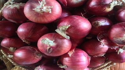 الكويت ترفع الحظر عن استيراد البصل المصري