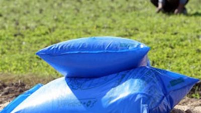 بدء صرف الأسمدة الزراعية للموسم الشتوى بالداخلة في الوادي الجديد