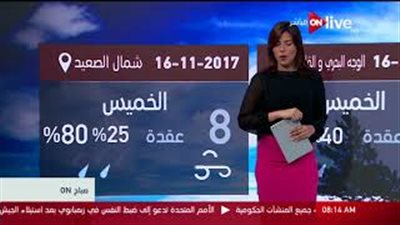 بالفيديو.. الأرصاد: الطقس معتدل.. والقاهرة تسجل 29 درجة