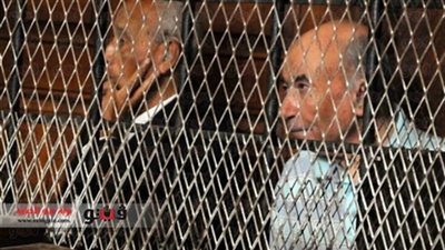 قضايا الدولة تكشف زيف مستندات براءة متهمى البياضية