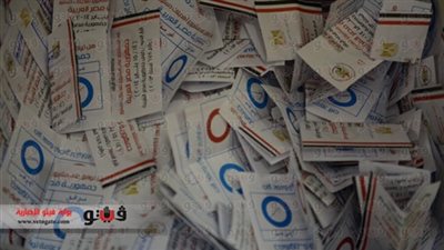 الصحف الفرنسية تسلط الضوء على إقرار الدستور الجديد في مصر