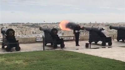 مصير مروع لحمامة تواجدت قرب مدفع (فيديو)