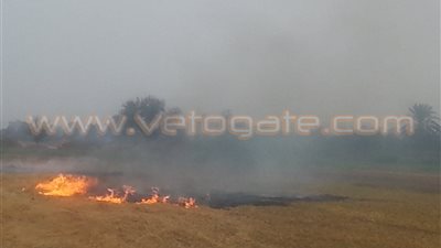 بالصور.. أهالي ههيا يشتكون من تزايد أدخنة حرق قش الأرز بالشرقية