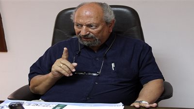 سعد الدين إبراهيم: نسبة التصويت بالمرحلة الأولى عقاب للأحزاب