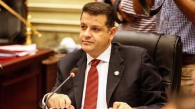 طارق رضوان: مصر تحارب الإرهاب للحفاظ على أمن العالم