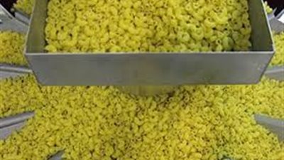 ضبط مصنع مكرونة بدون ترخيص في حملة بالإسكندرية