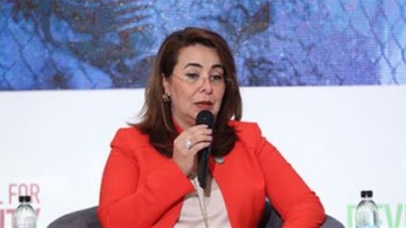الدكتورة غادة والي،